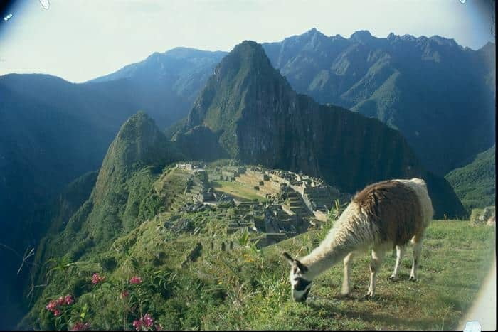 Machu Picchu