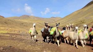 Montañas de colores en Cusco