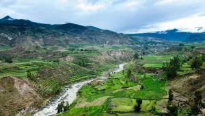 cañón del Colca