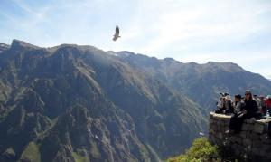 cañón del Colca