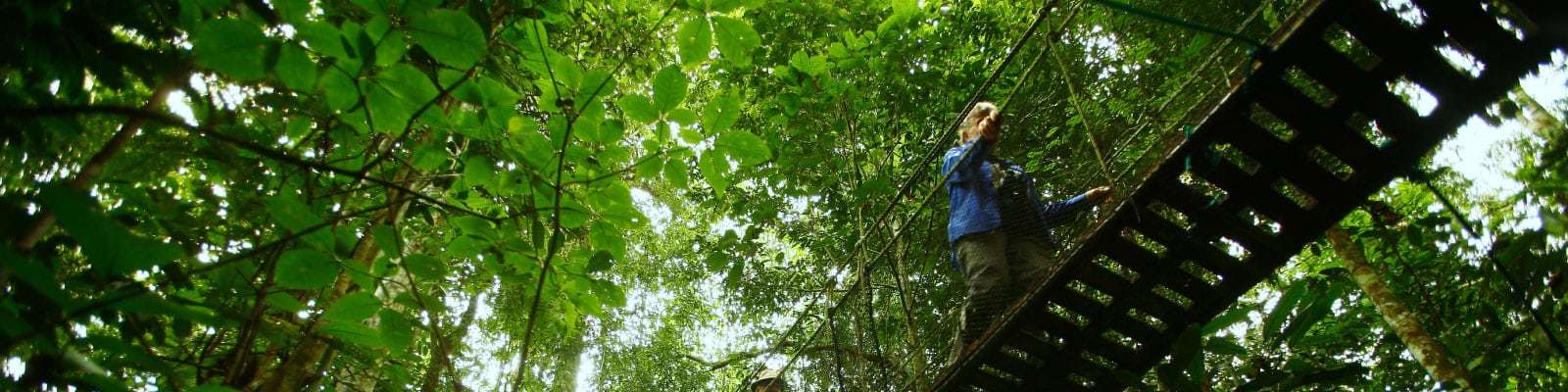 Amazonas