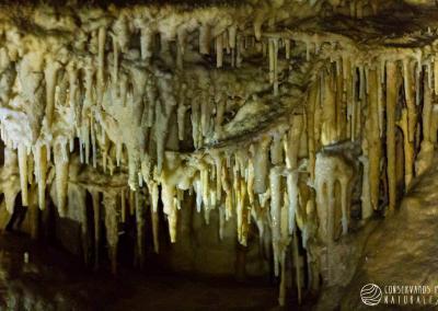 CAVERNAS DE LEO