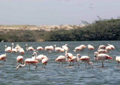 ESTUARIO DE VIRRILA