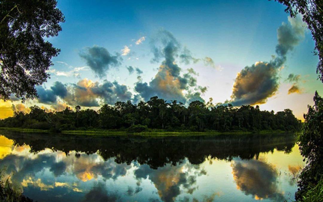 Parque Nacional del Manu
