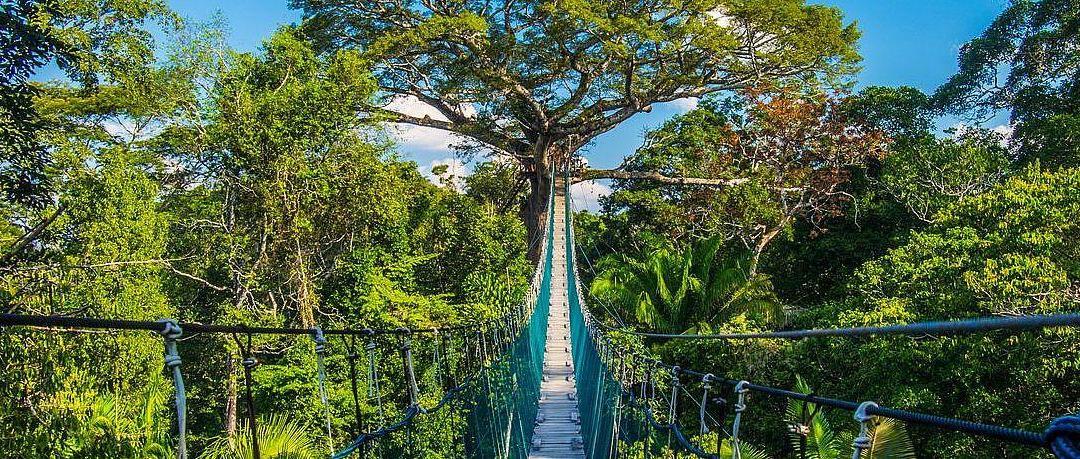 Reserva Nacional Tambopata