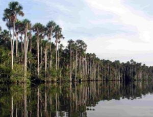 LAGO SANDOVALA