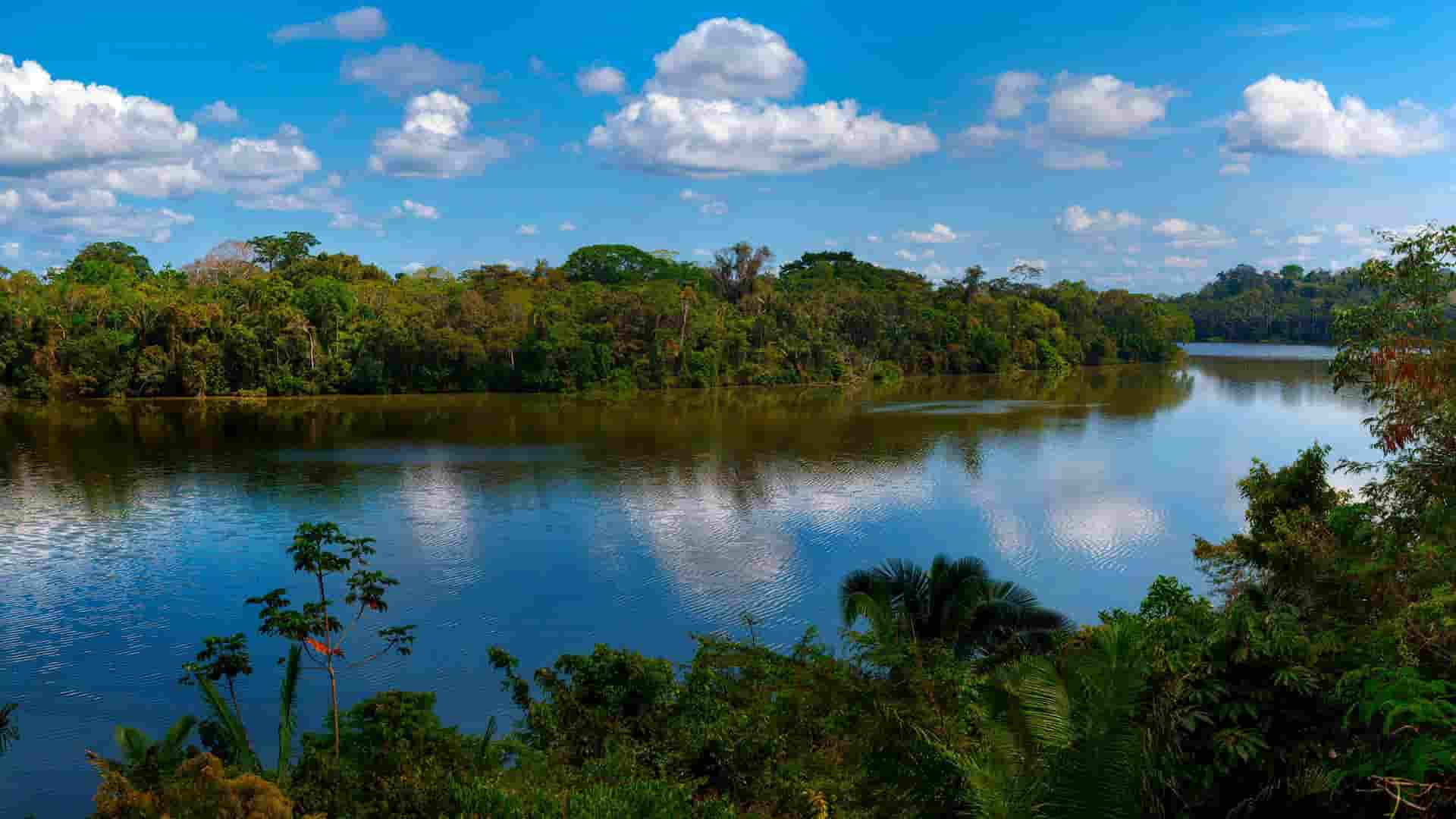 Reserva Nacional Tambopata | El Peru en fotos