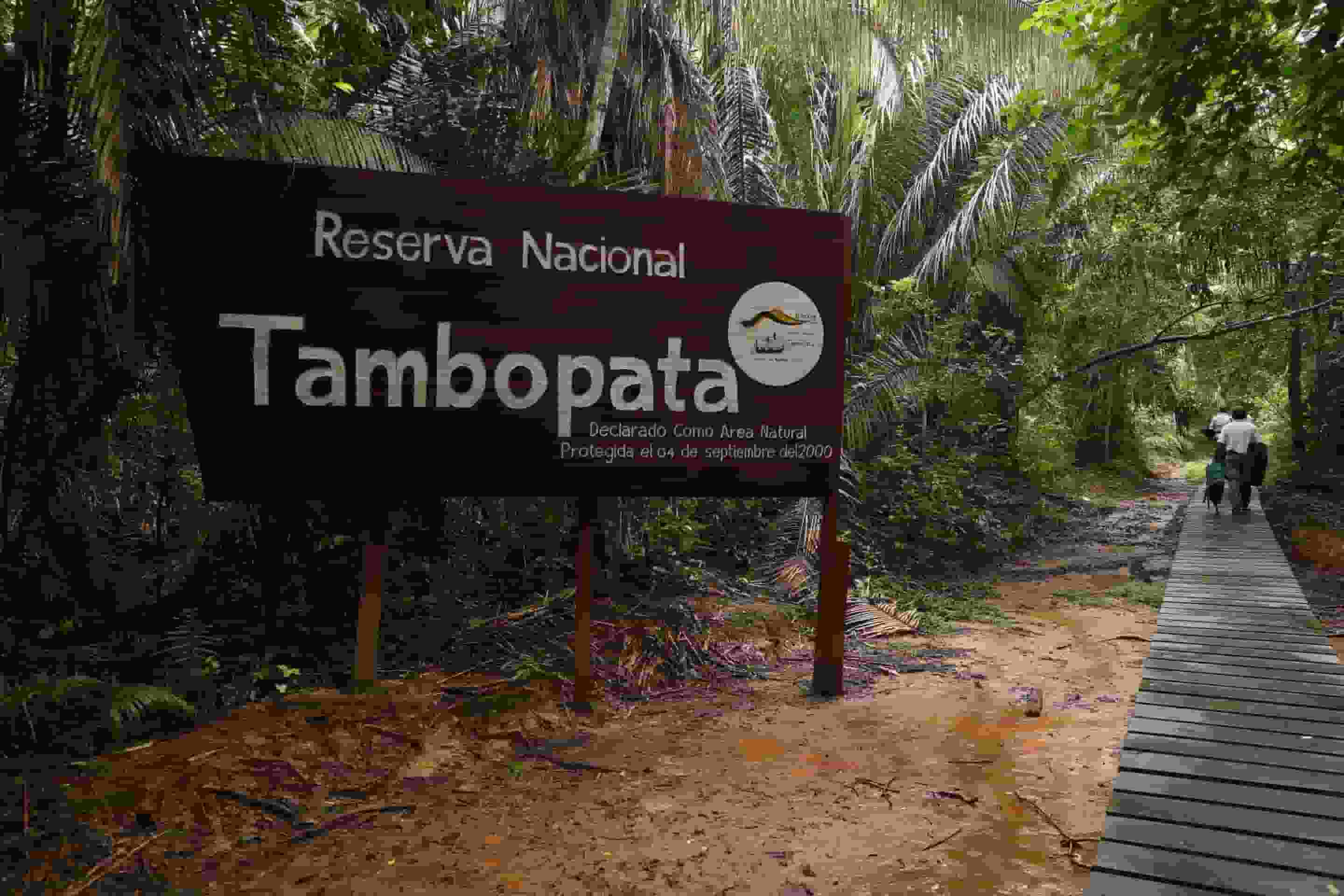 Reserva Nacional Tambopata | El Peru en fotos