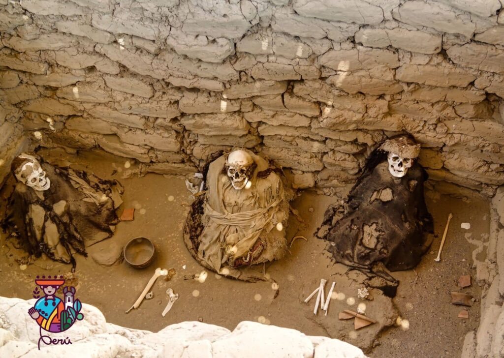 momias del cementerio de chauchilla ciudad de nazca 
