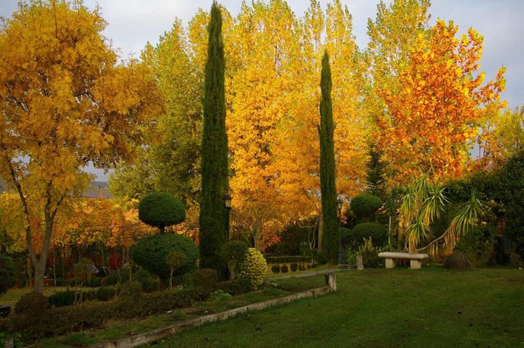 Jardin Botanico de la Rioja